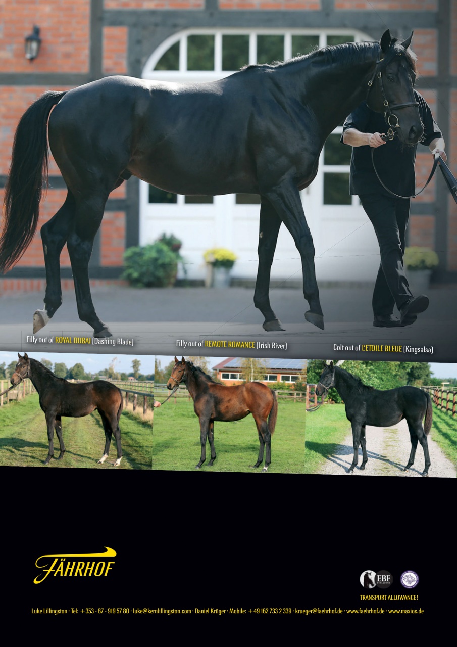 The Owner Breeder Preview Pages