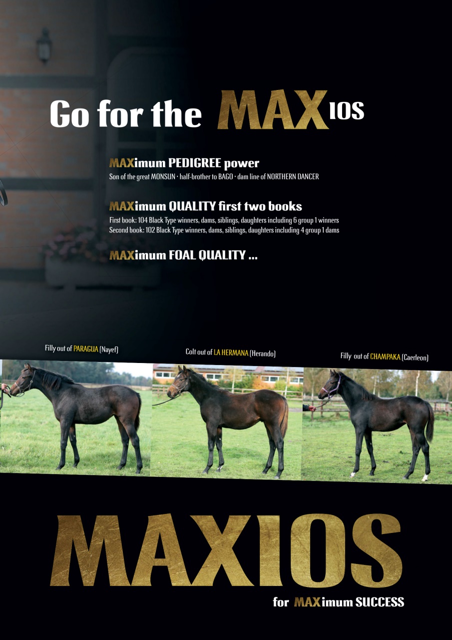 The Owner Breeder Preview Pages