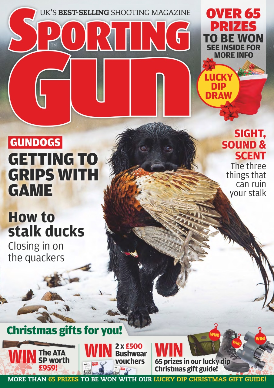Sporting Gun Preview Pages
