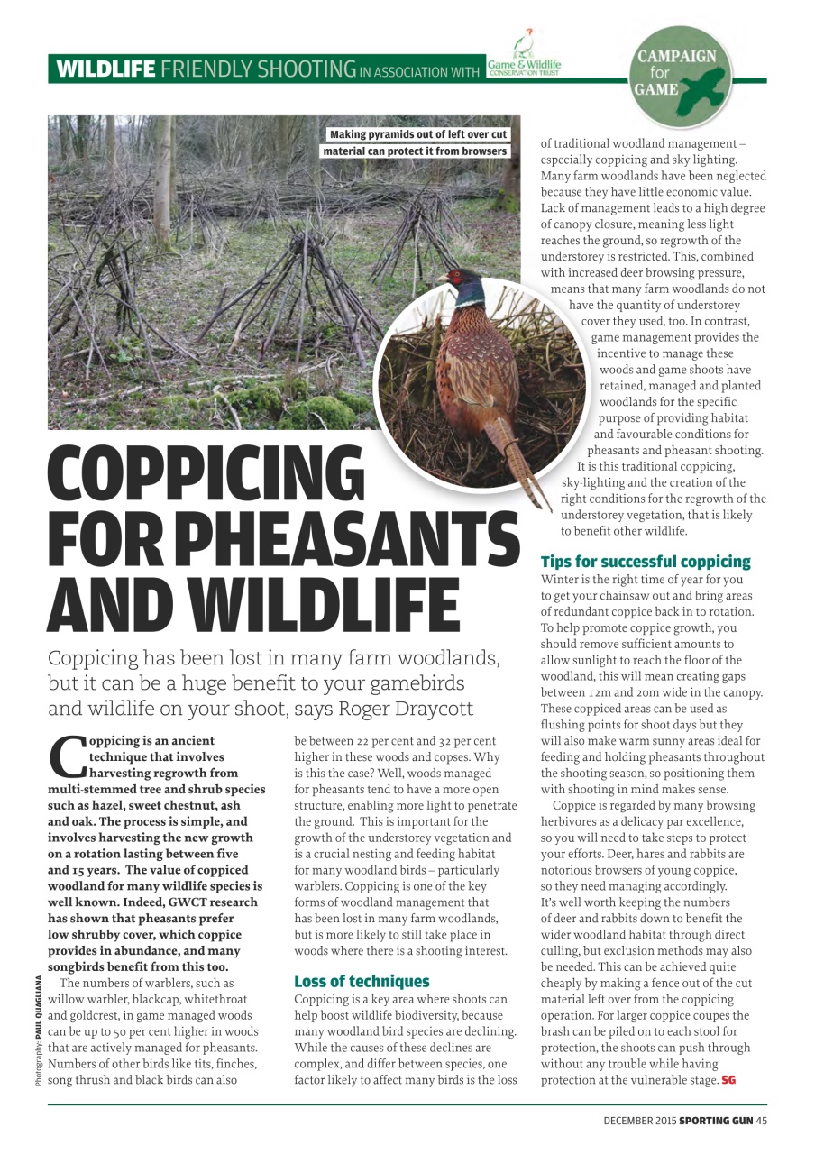 Sporting Gun Preview Pages