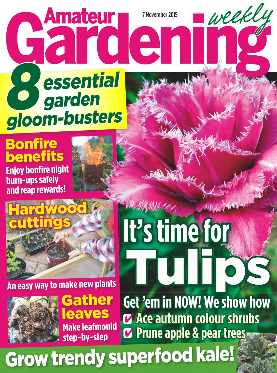 Amateur Gardening Preview Pages