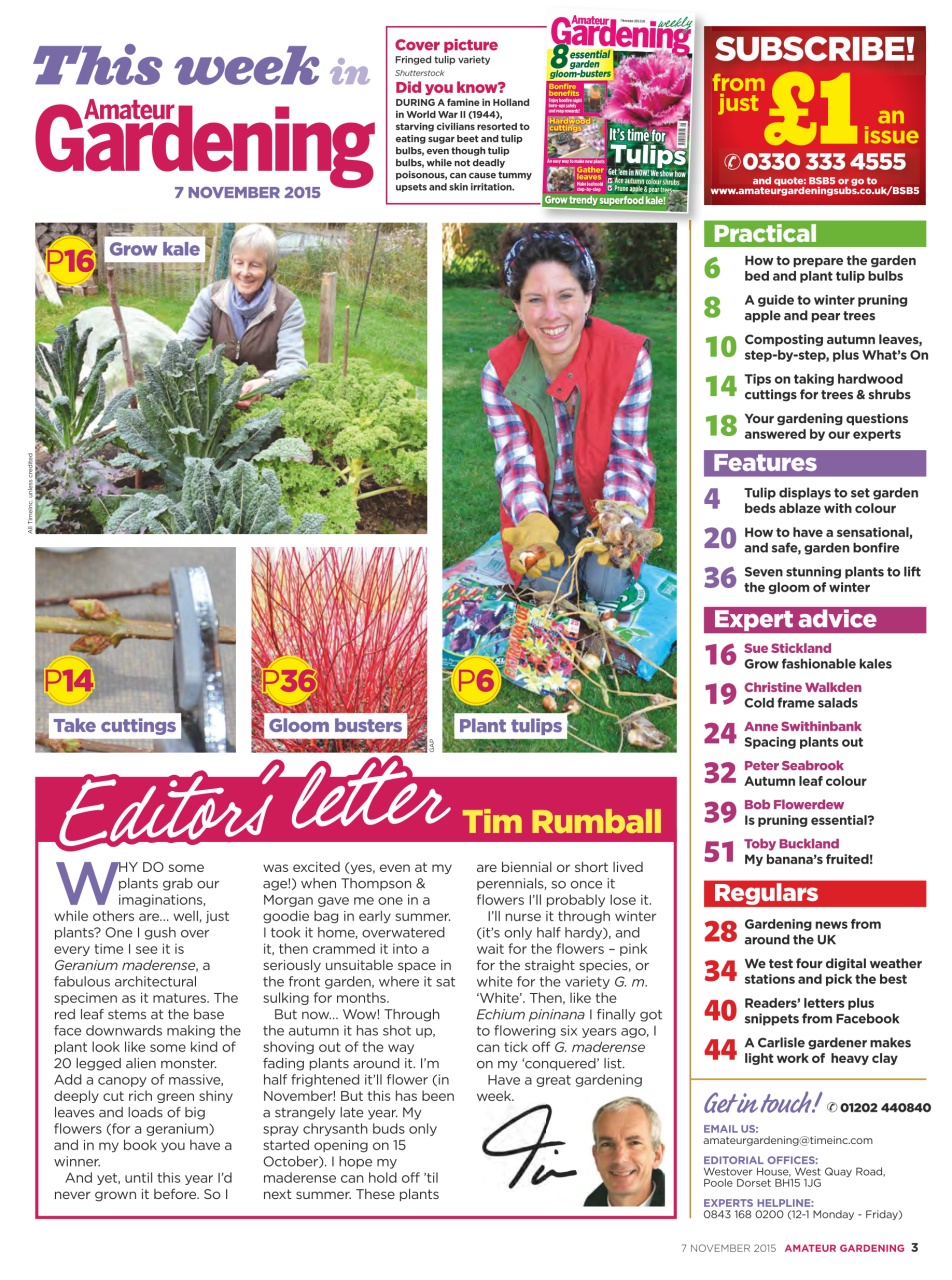 Amateur Gardening Preview Pages
