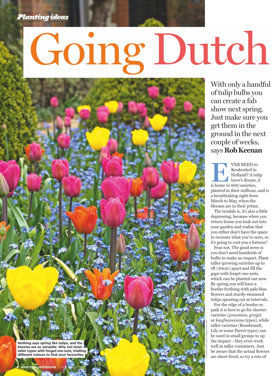 Amateur Gardening Preview Pages