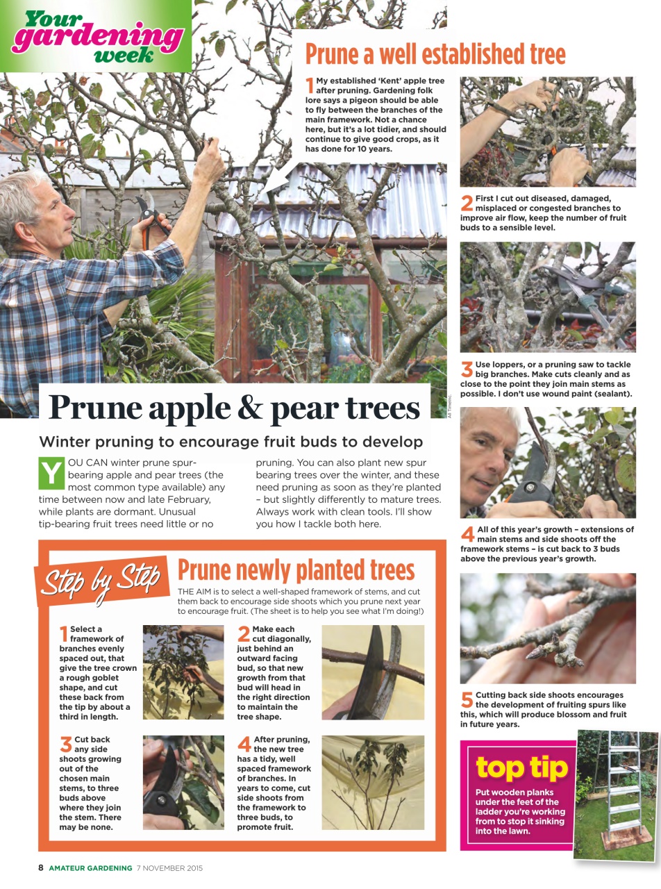 Amateur Gardening Preview Pages