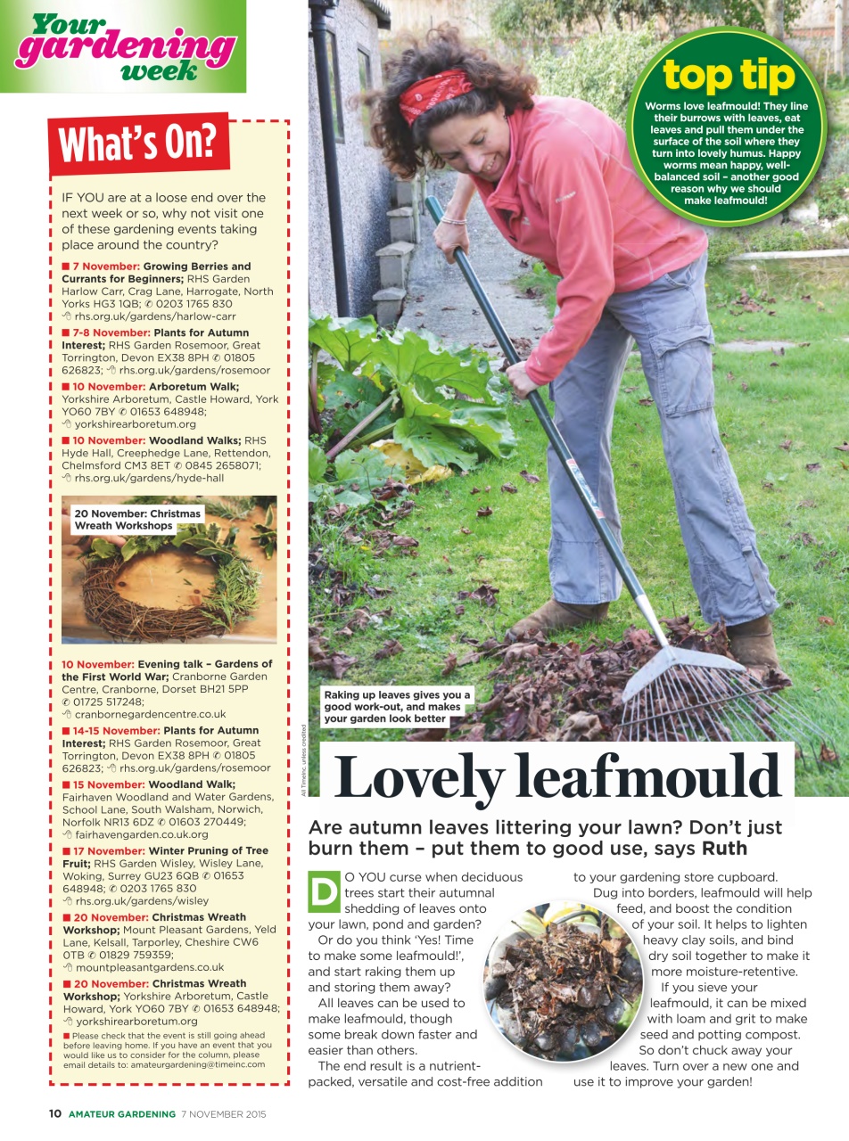 Amateur Gardening Preview Pages