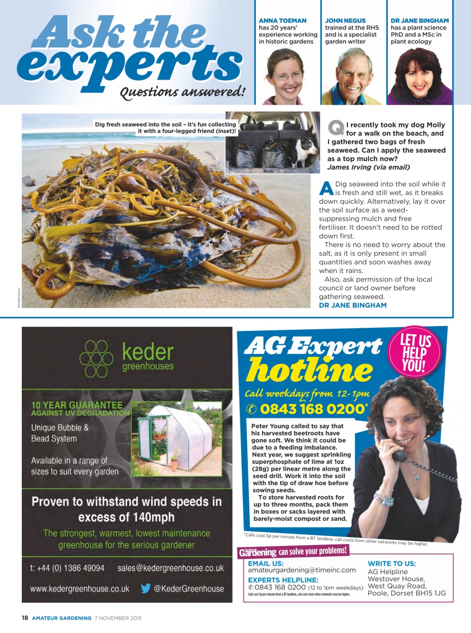 Amateur Gardening Preview Pages