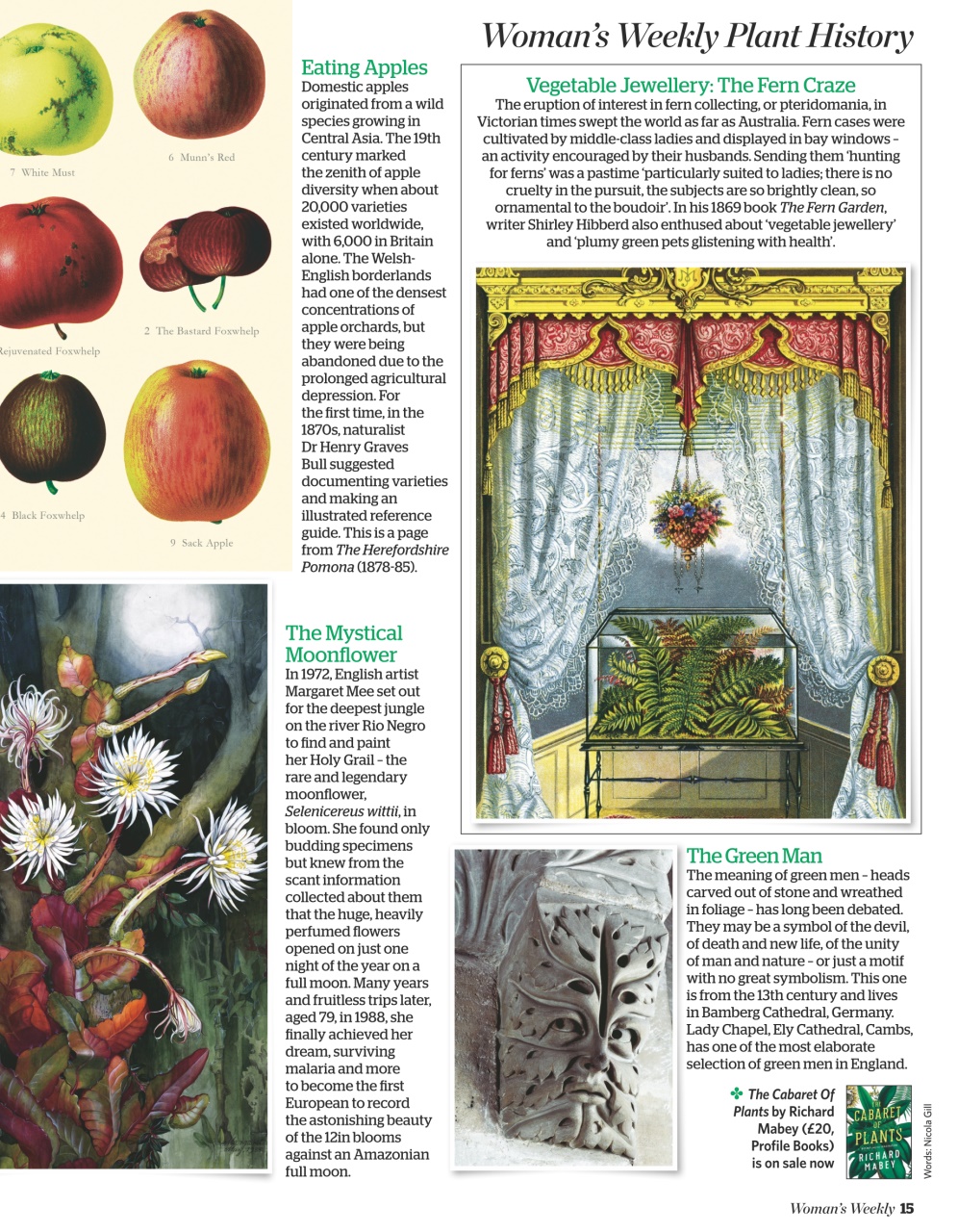 Woman's Weekly Preview Pages