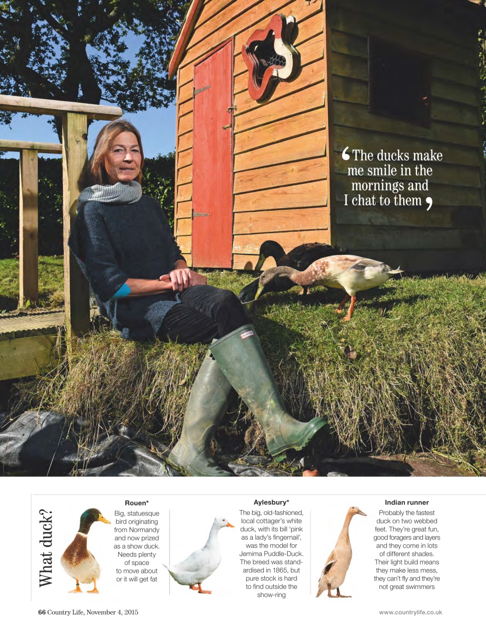 Country Life Preview Pages