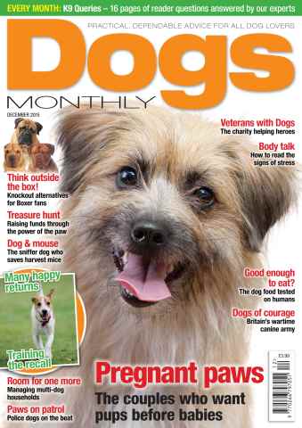 Dogs Monthly issue December 2015