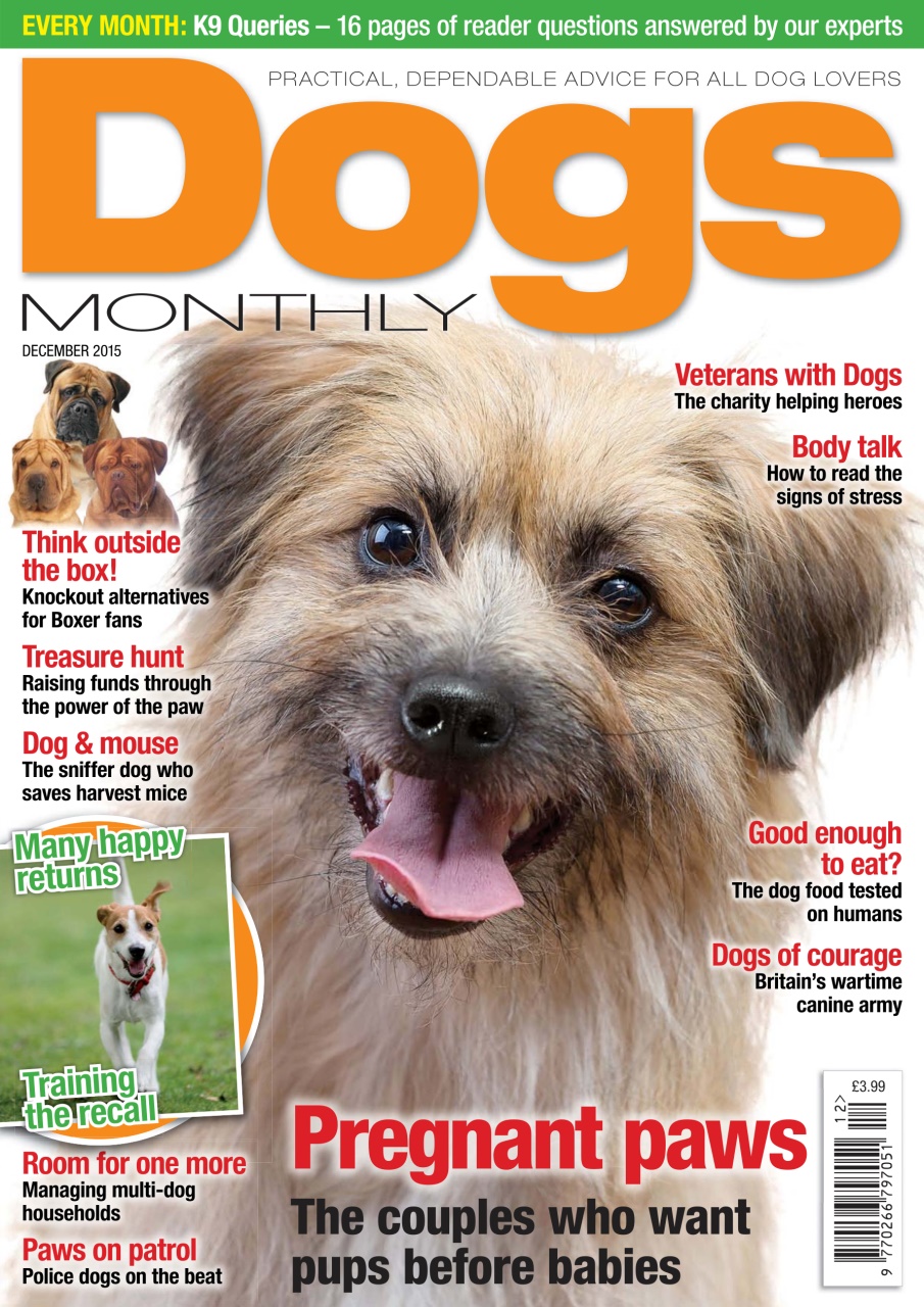 Dogs Monthly Preview Pages