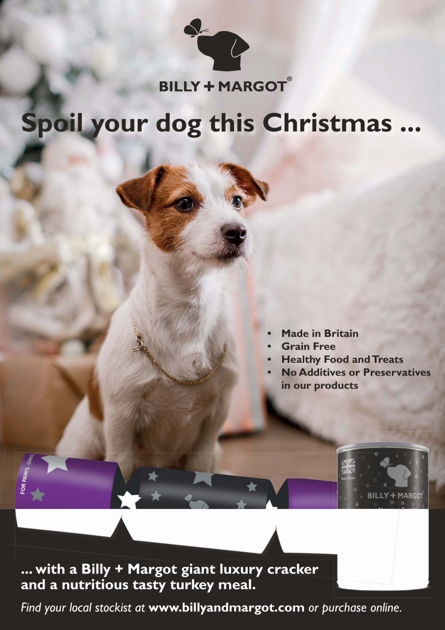 Dogs Monthly Preview Pages
