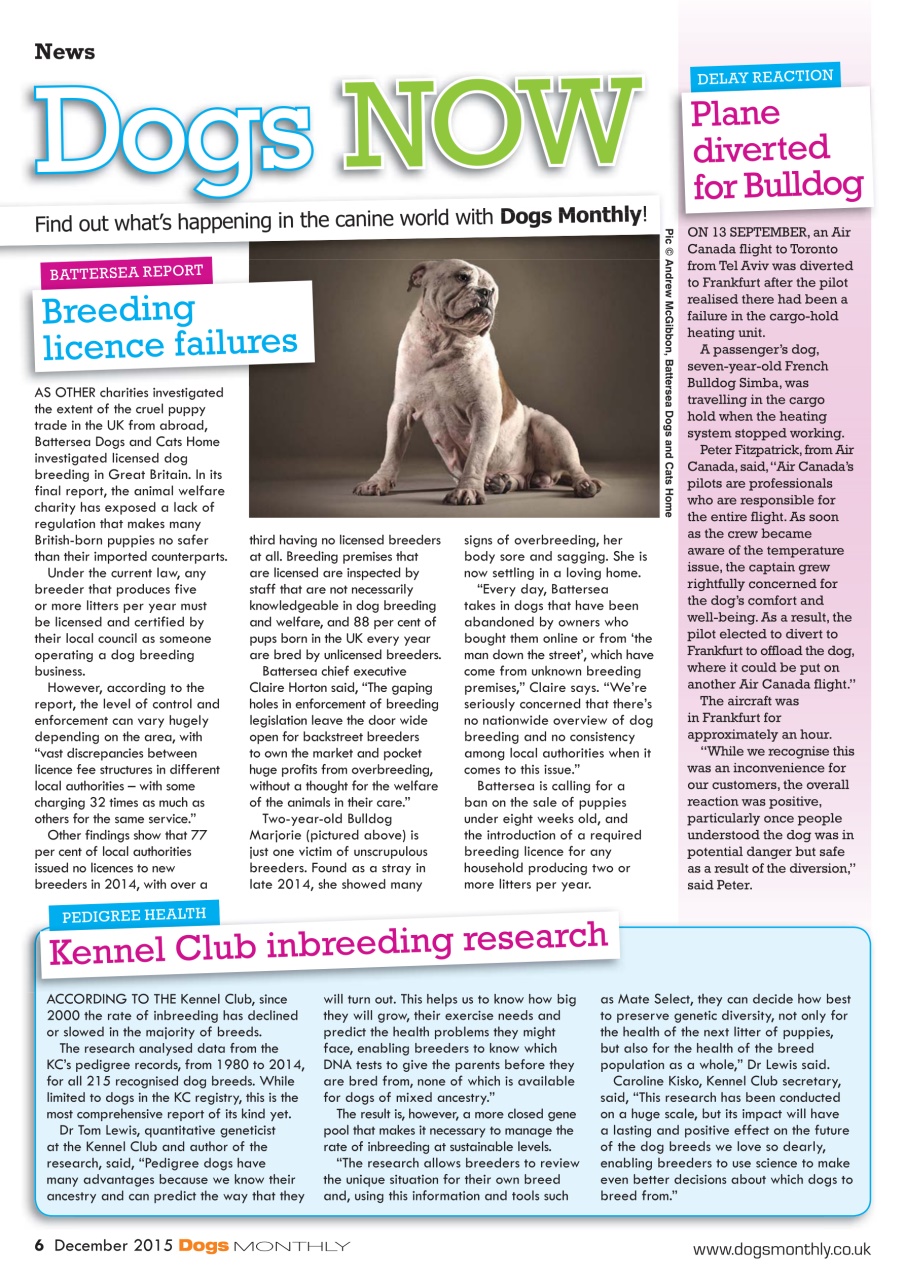 Dogs Monthly Preview Pages