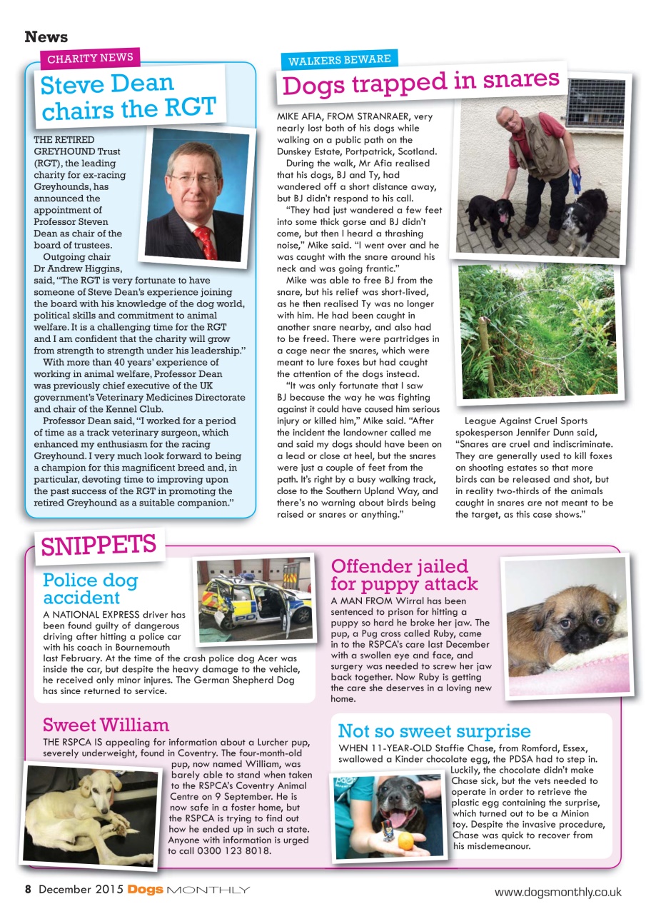 Dogs Monthly Preview Pages