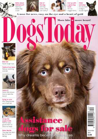 Dogs Today Magazine issue December 2015