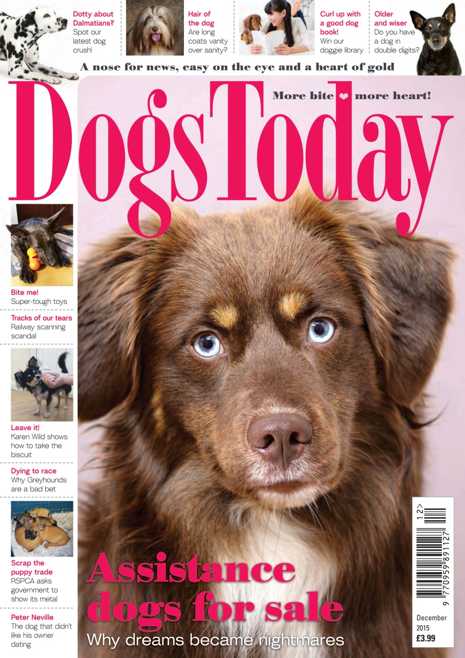 Dogs Today Magazine Preview Pages