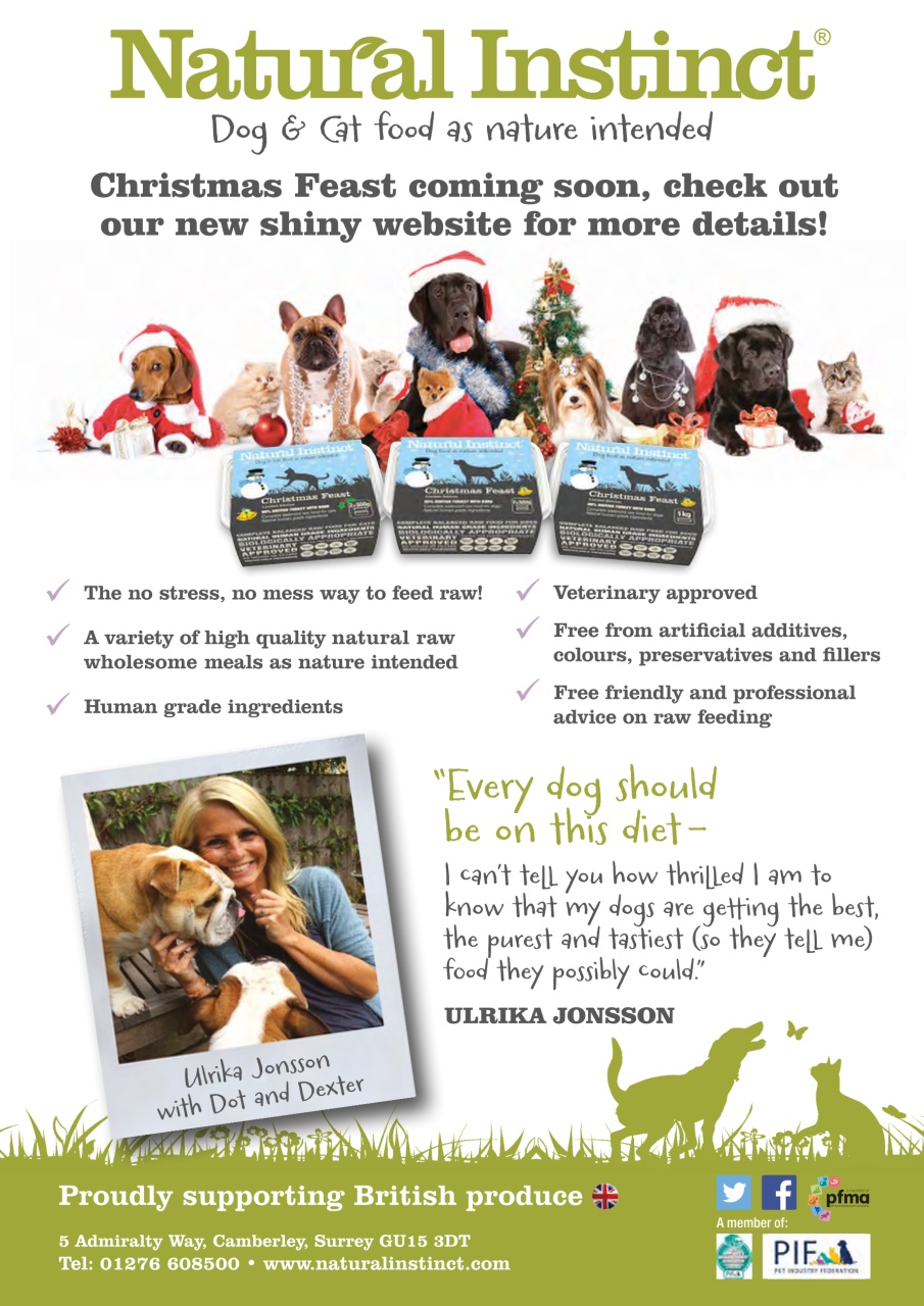 Dogs Today Magazine Preview Pages