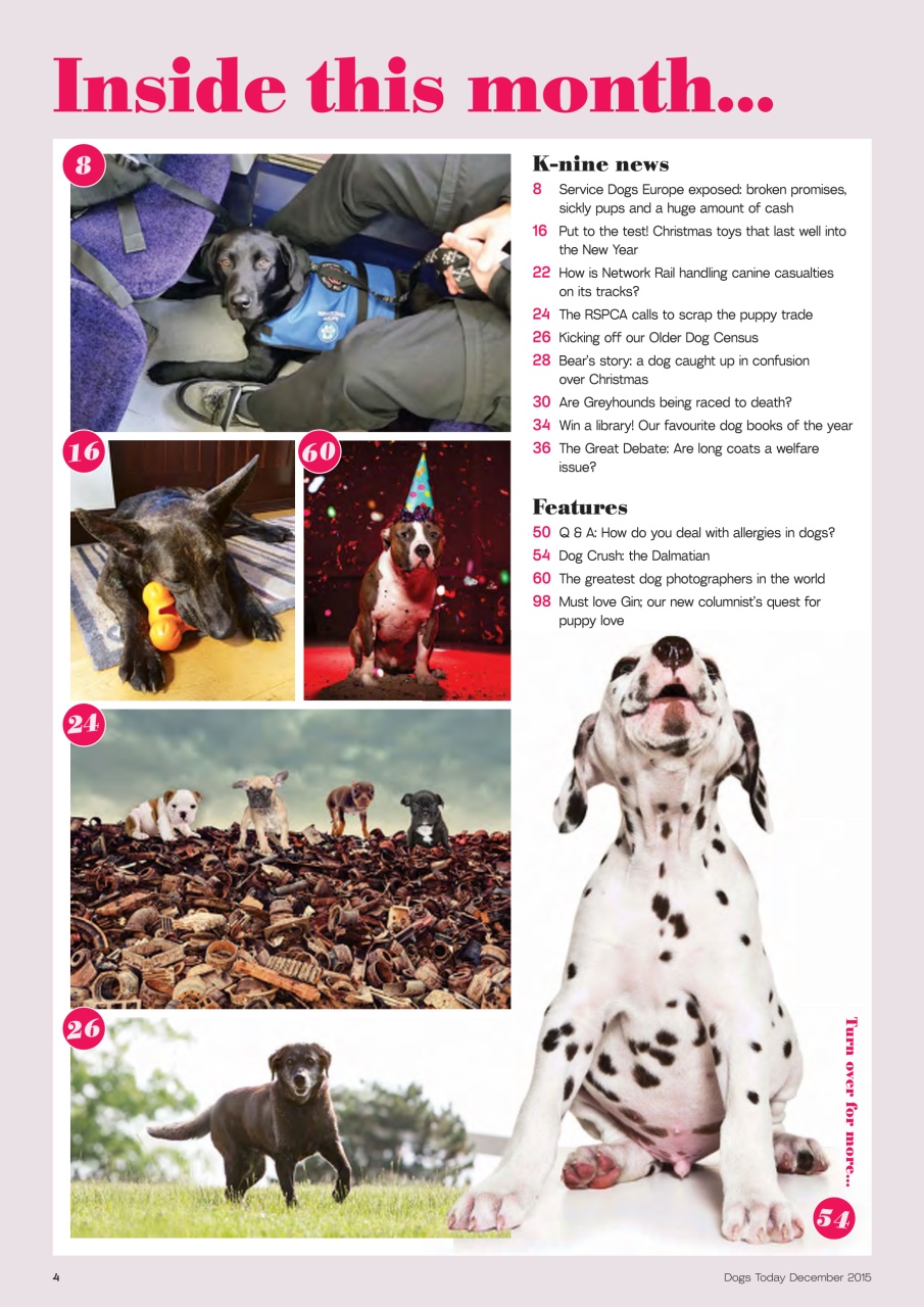 Dogs Today Magazine Preview Pages