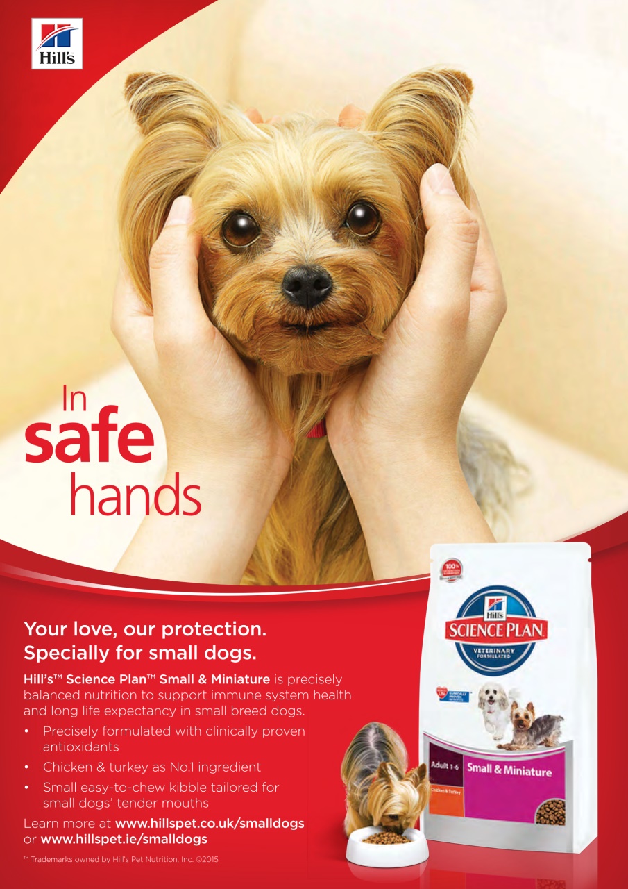 Dogs Today Magazine Preview Pages