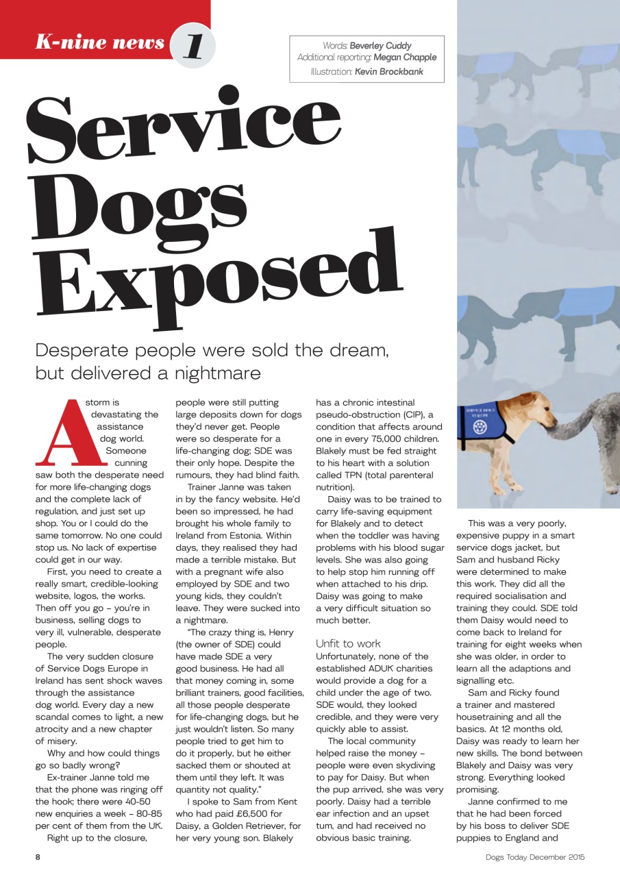 Dogs Today Magazine Preview Pages