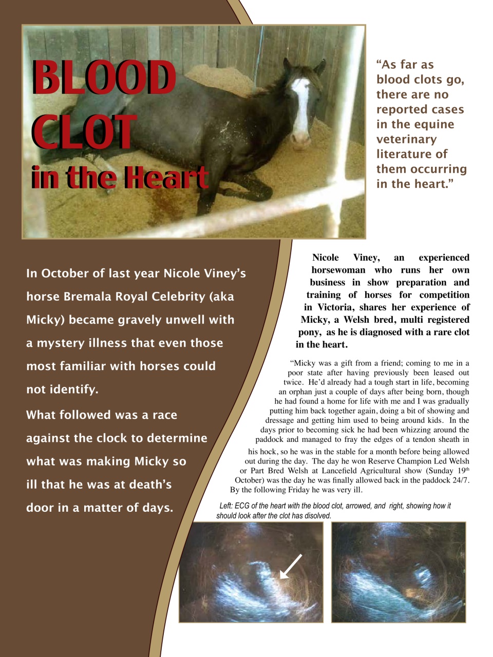 Hoofbeats Preview Pages