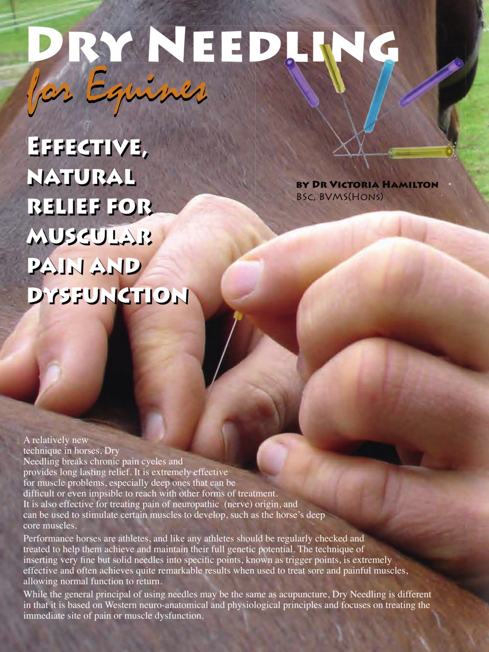 Hoofbeats Preview Pages