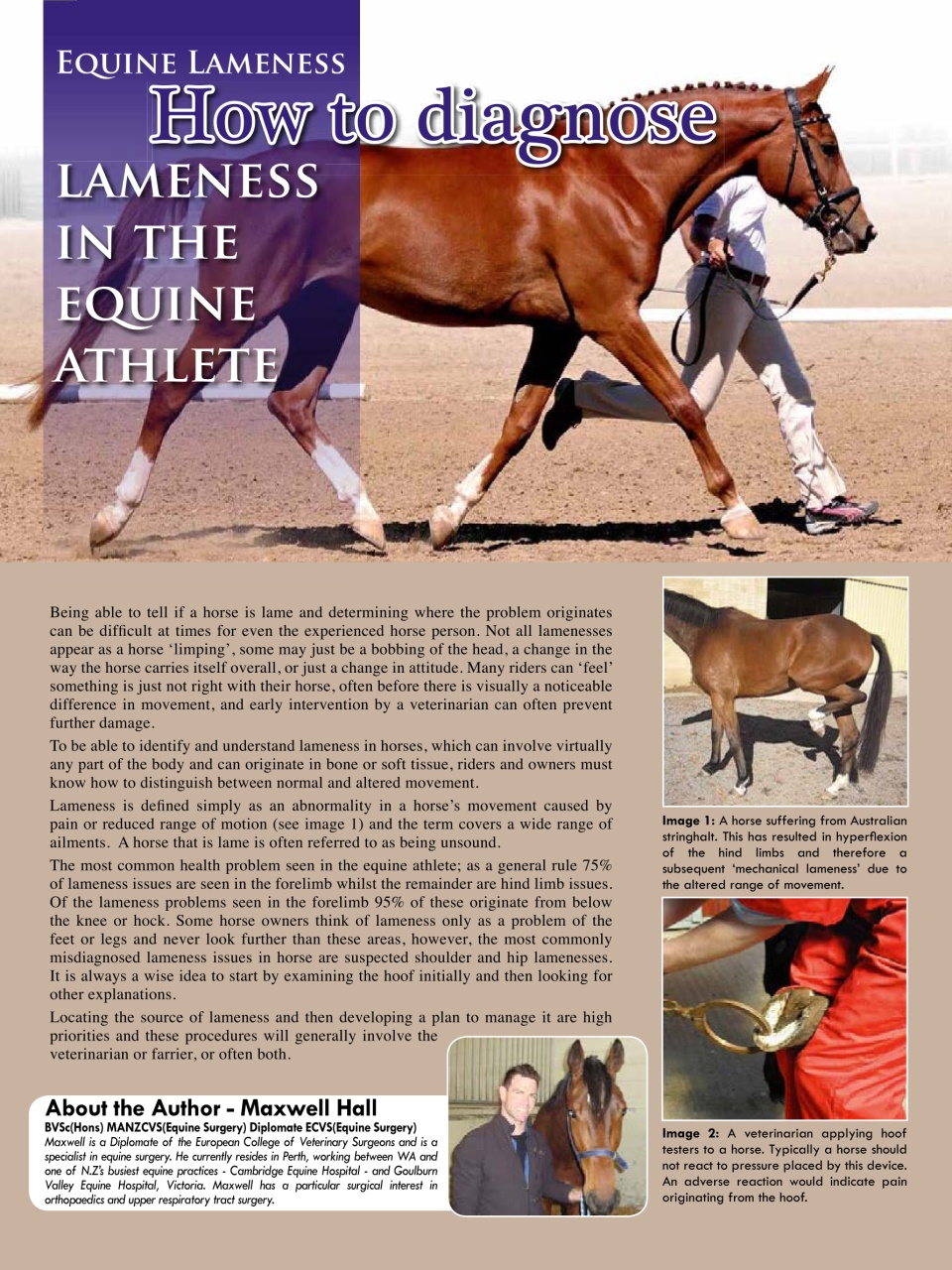 Hoofbeats Preview Pages