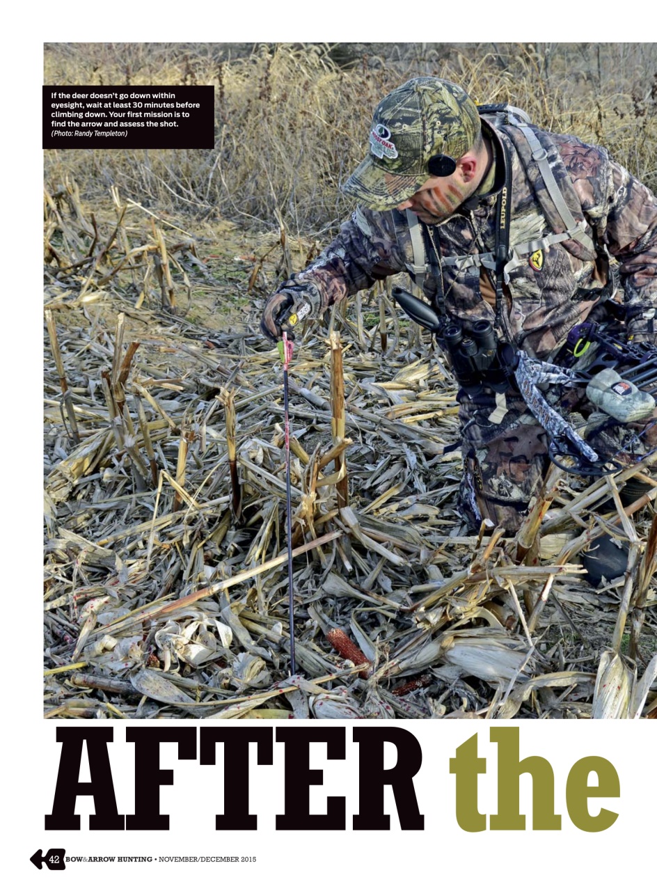 Bow & Arrow Hunting Preview Pages