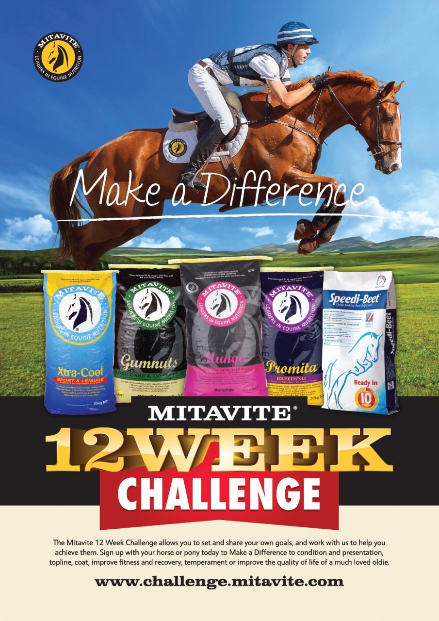 HorseWyse Magazine Preview Pages