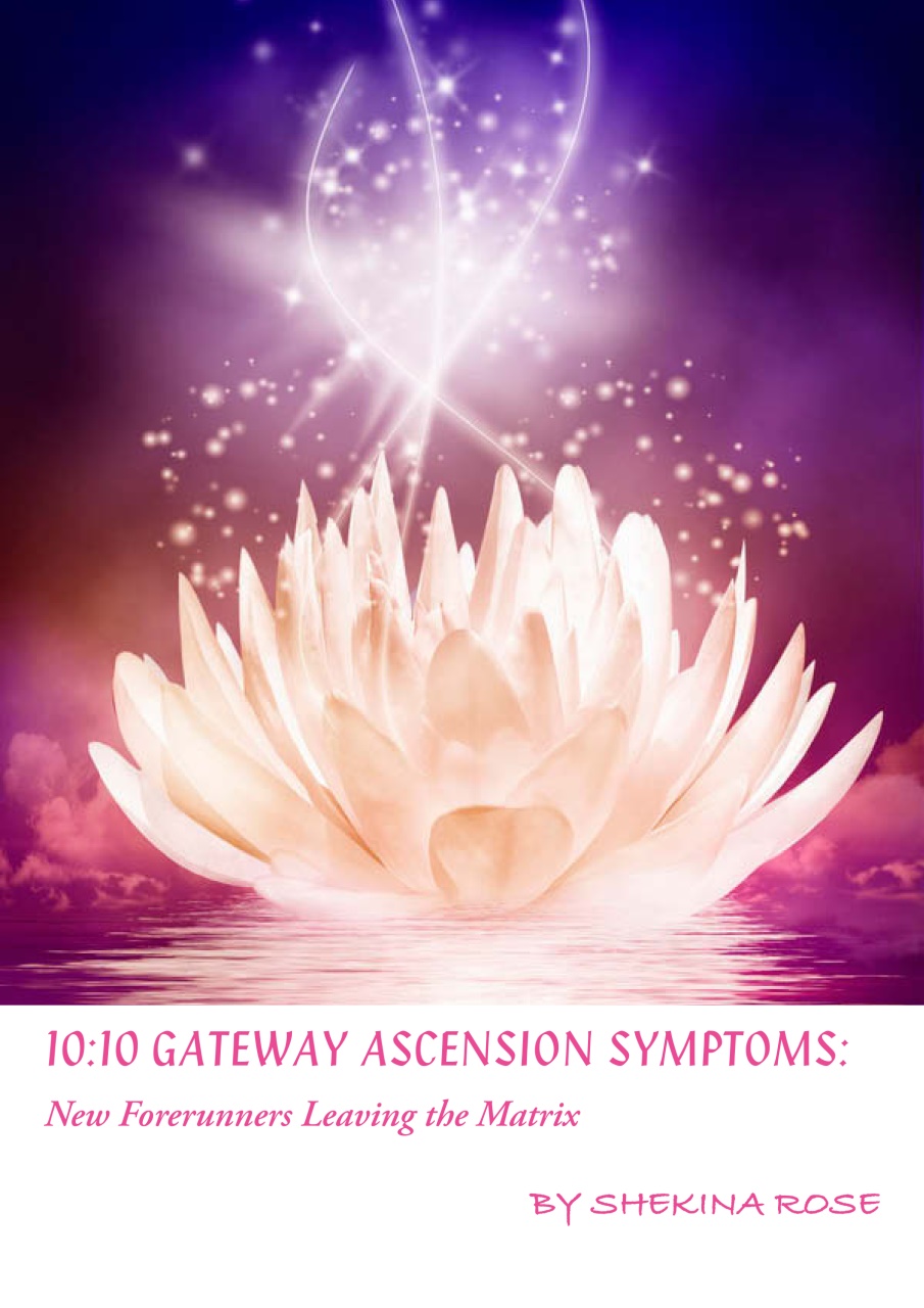 Paradigm Shift Preview Pages