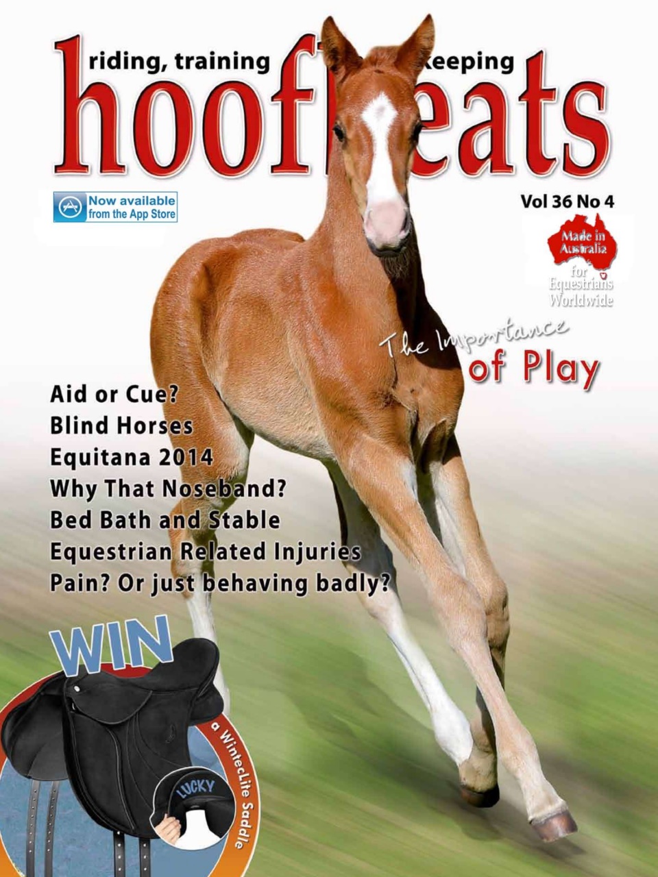 Hoofbeats Preview Pages