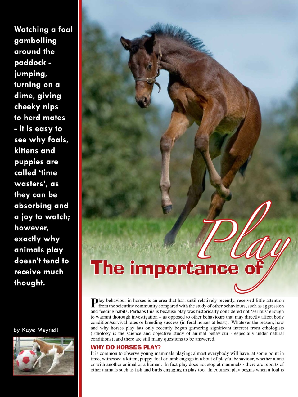 Hoofbeats Preview Pages