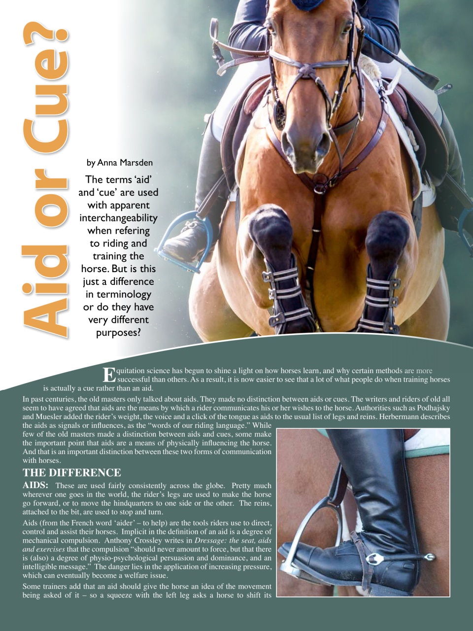 Hoofbeats Preview Pages