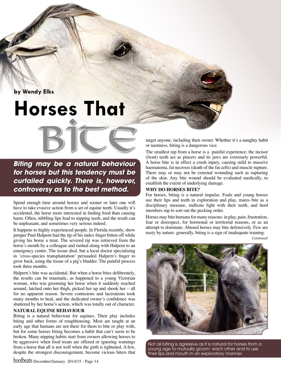 Hoofbeats Preview Pages