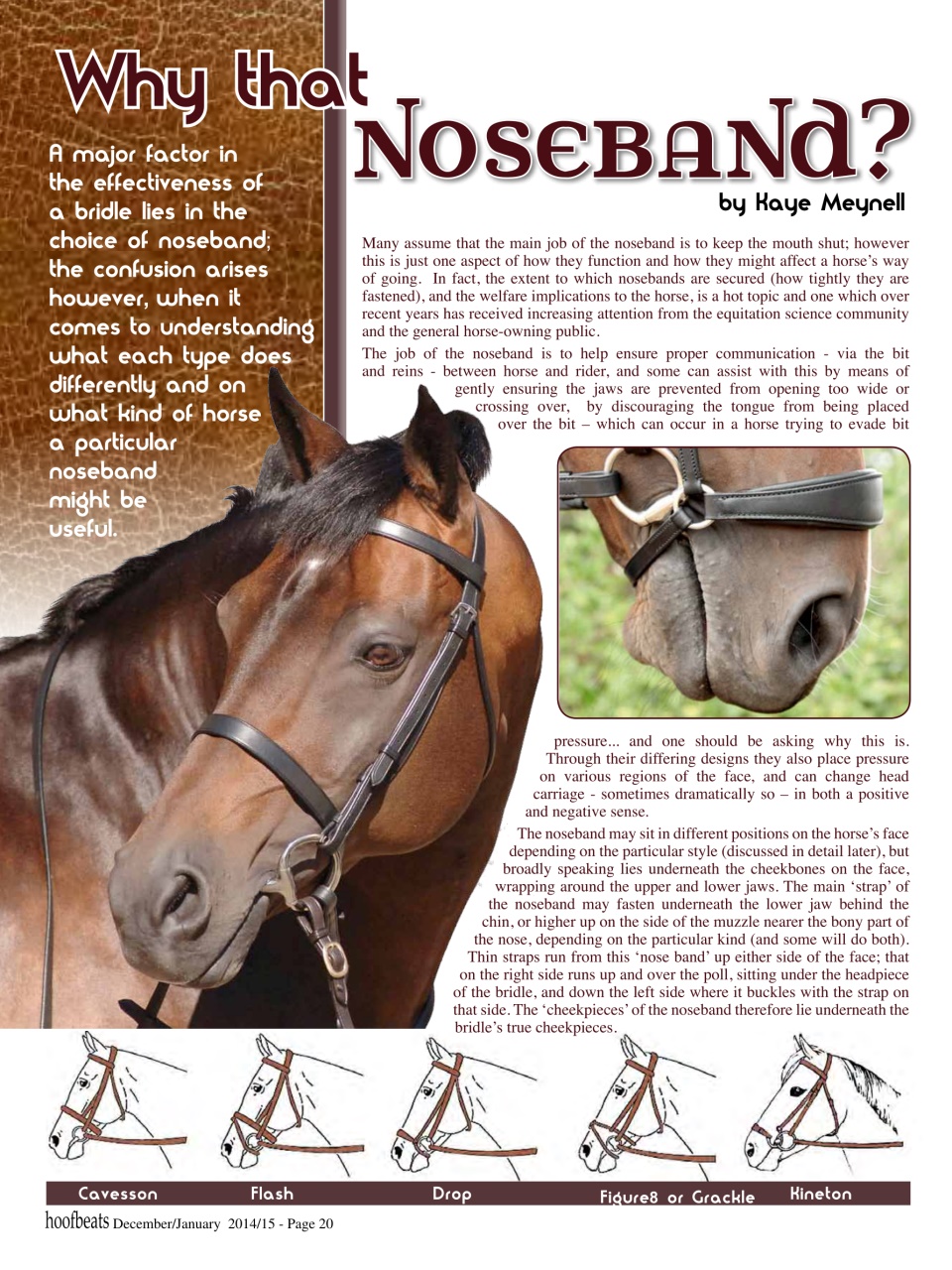 Hoofbeats Preview Pages