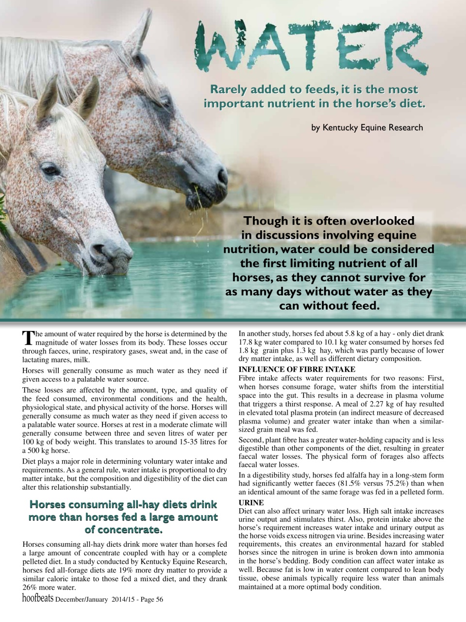 Hoofbeats Preview Pages