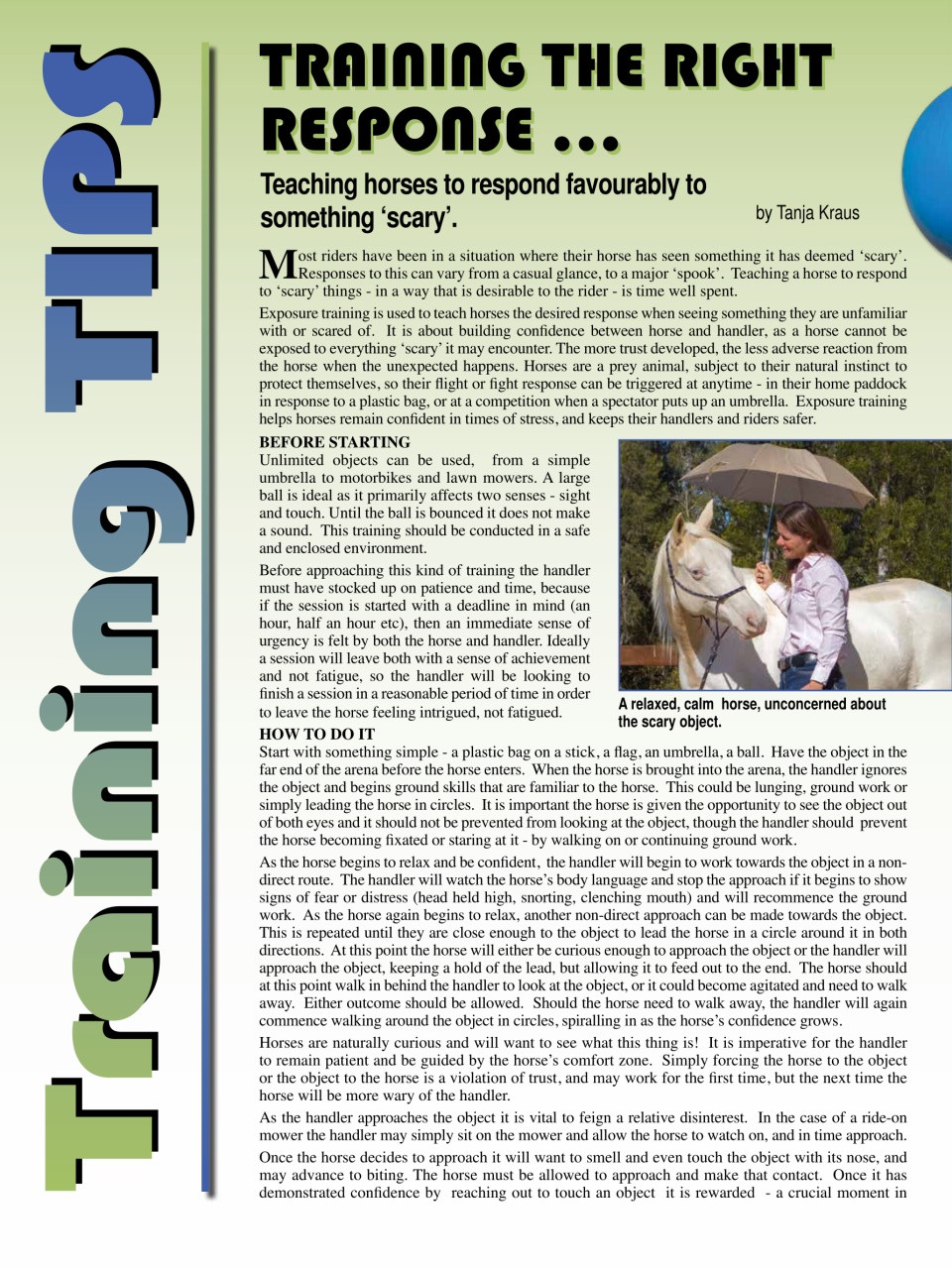 Hoofbeats Preview Pages