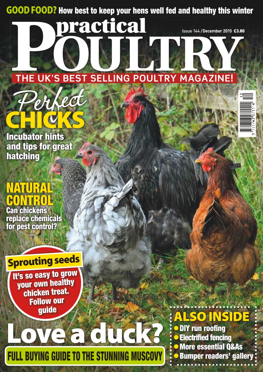 Practical Poultry Preview Pages