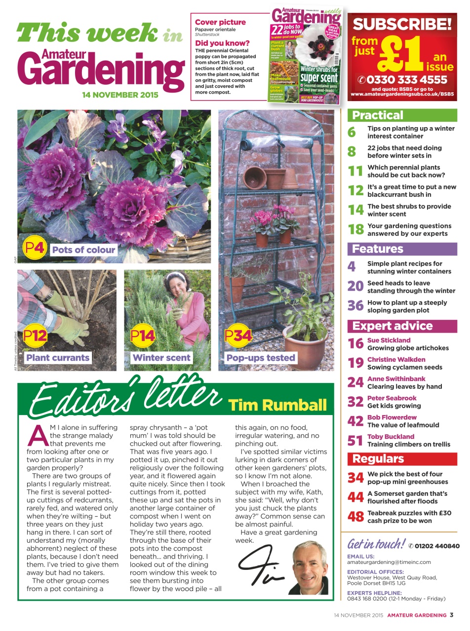 Amateur Gardening Preview Pages