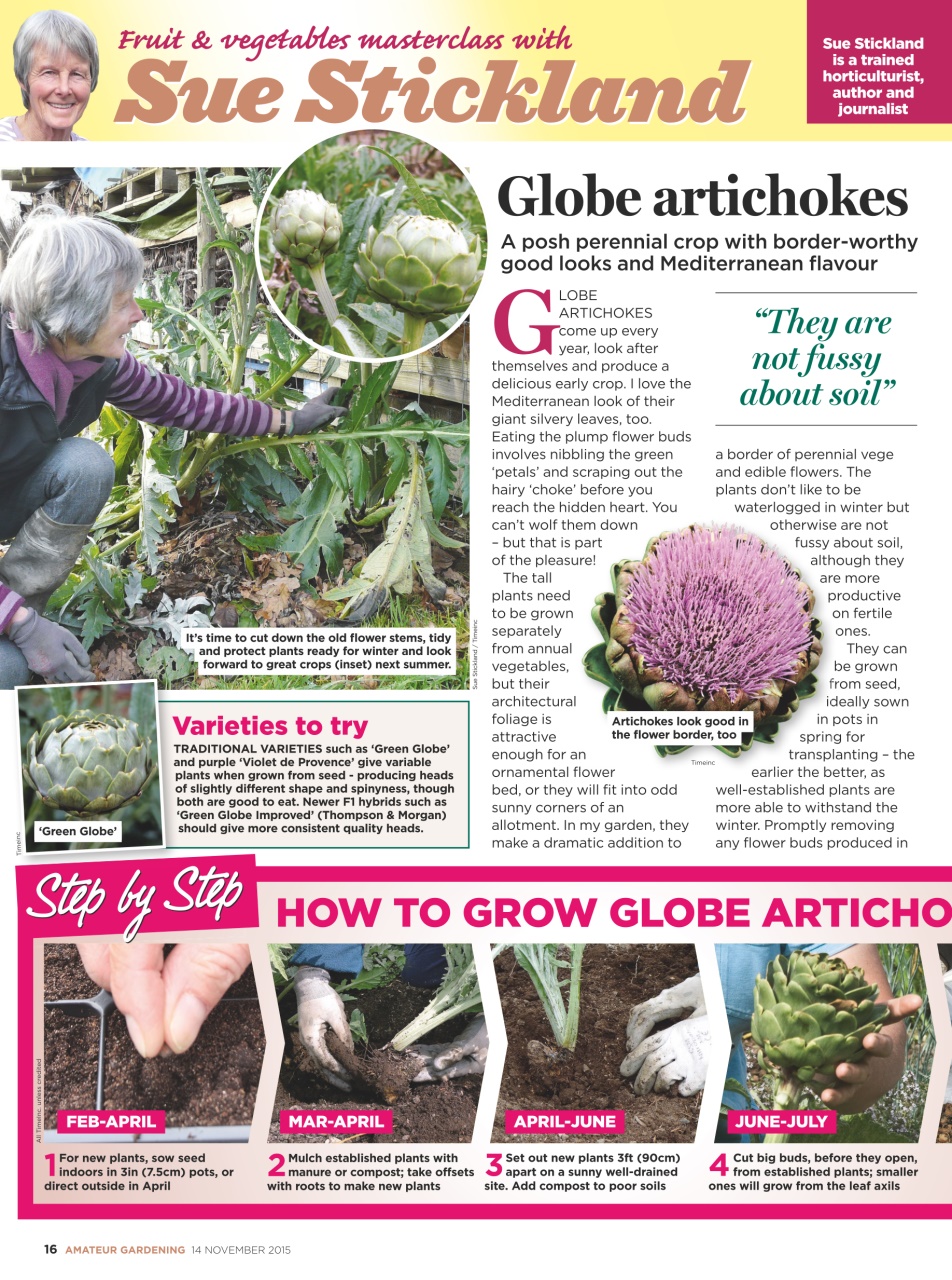 Amateur Gardening Preview Pages