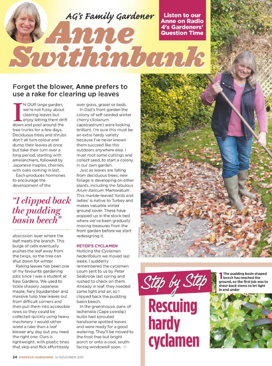 Amateur Gardening Preview Pages