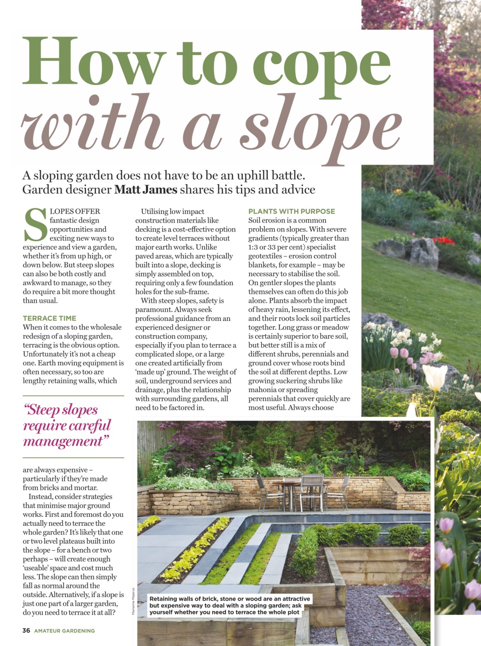 Amateur Gardening Preview Pages