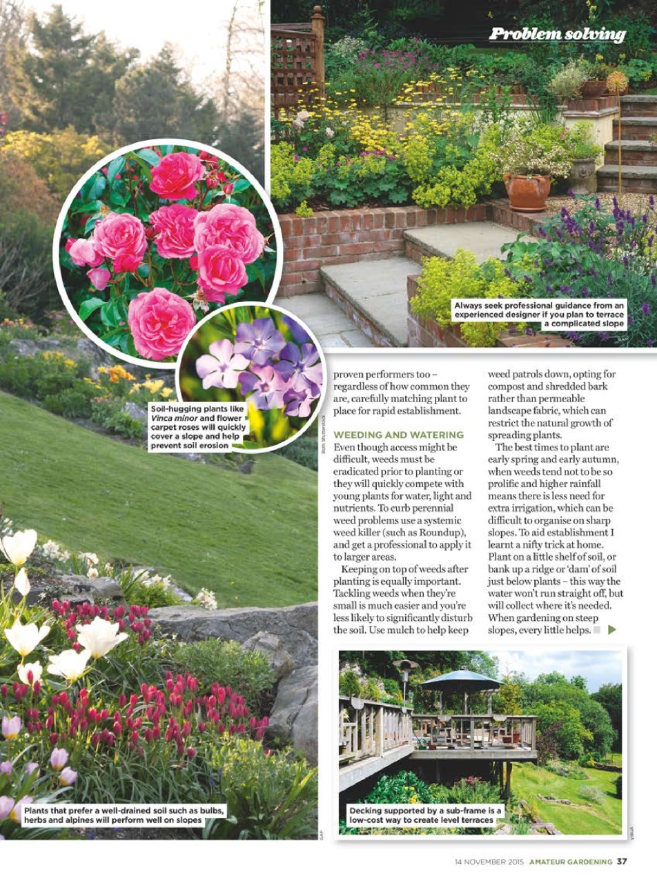 Amateur Gardening Preview Pages