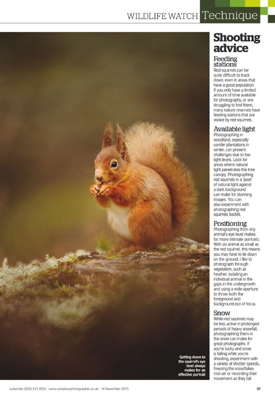 Amateur Photographer Preview Pages