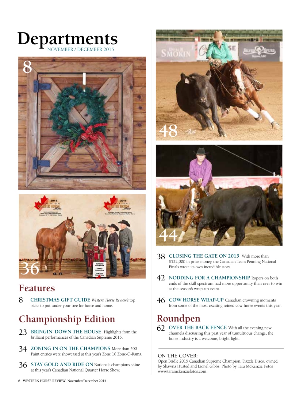 Western Horse Review Preview Pages