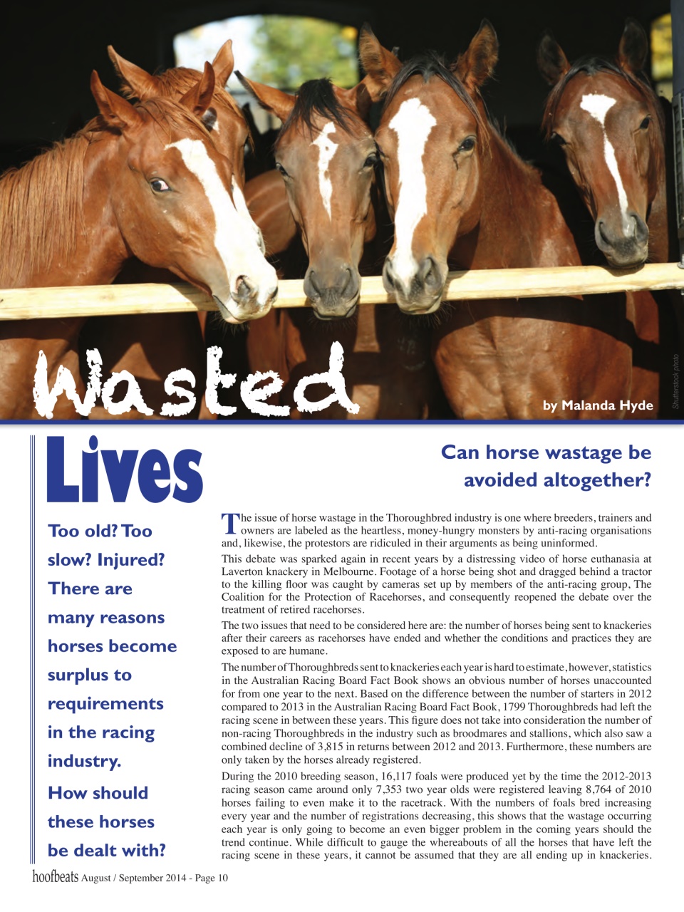 Hoofbeats Preview Pages