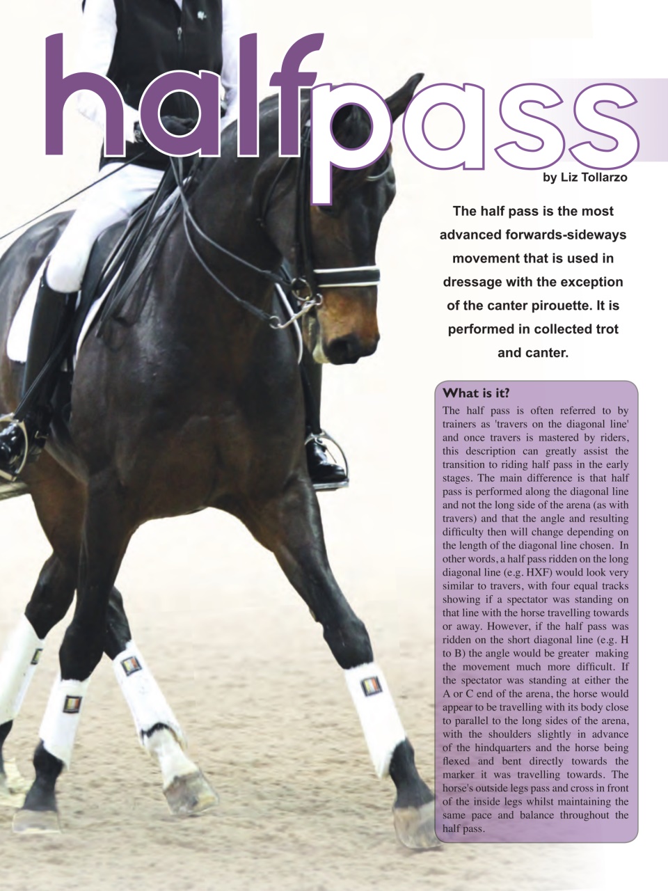 Hoofbeats Preview Pages