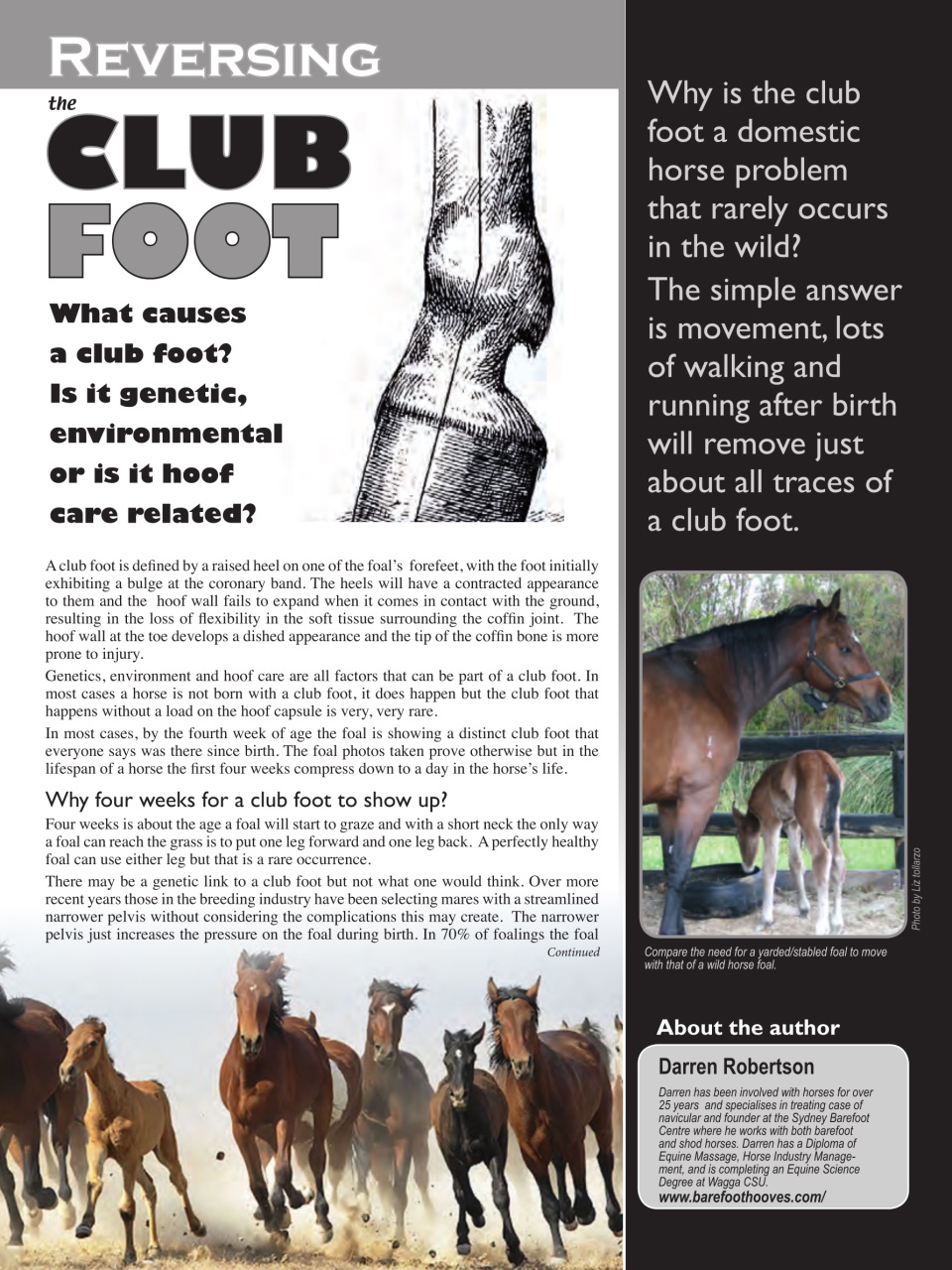 Hoofbeats Preview Pages