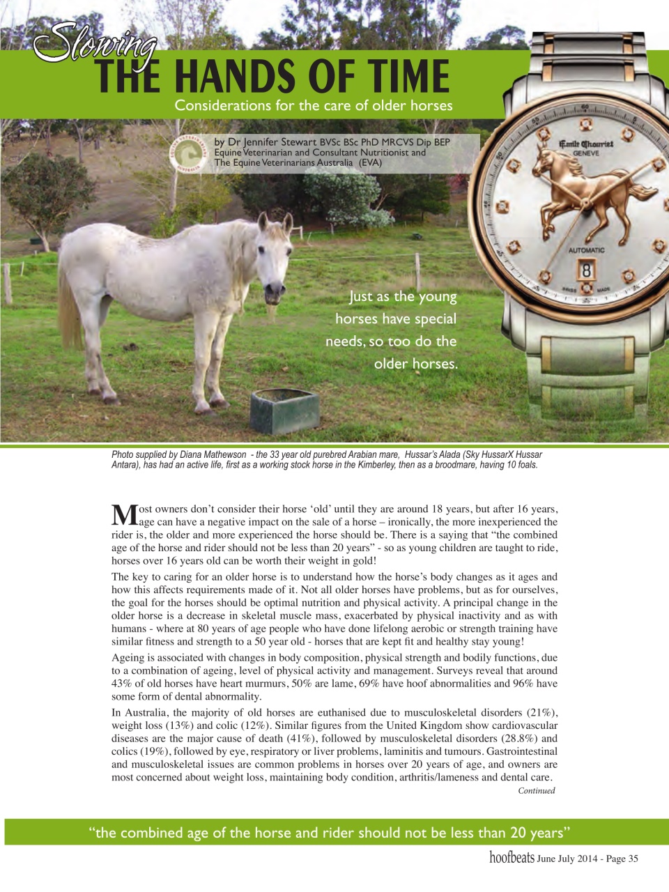 Hoofbeats Preview Pages