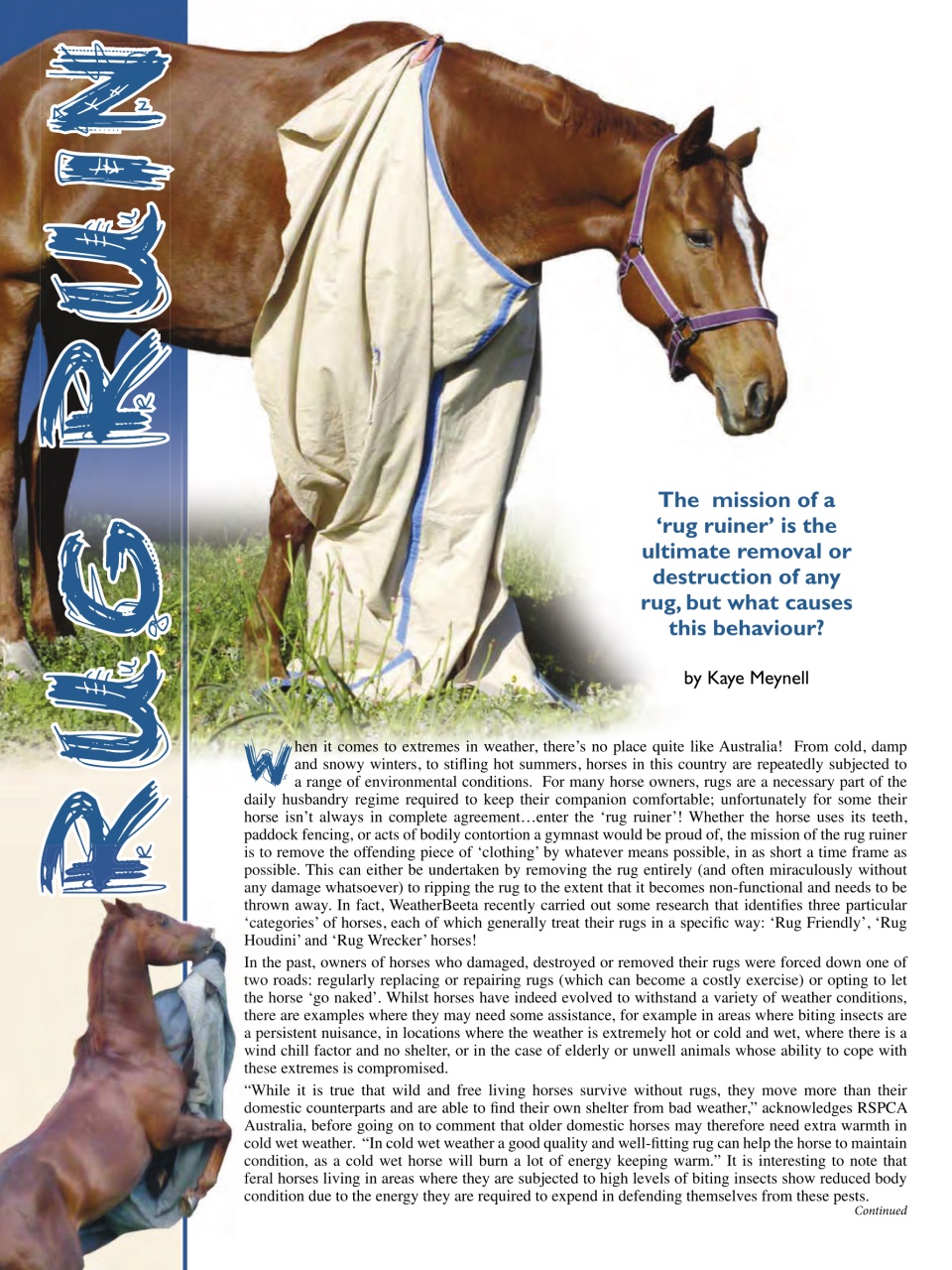 Hoofbeats Preview Pages