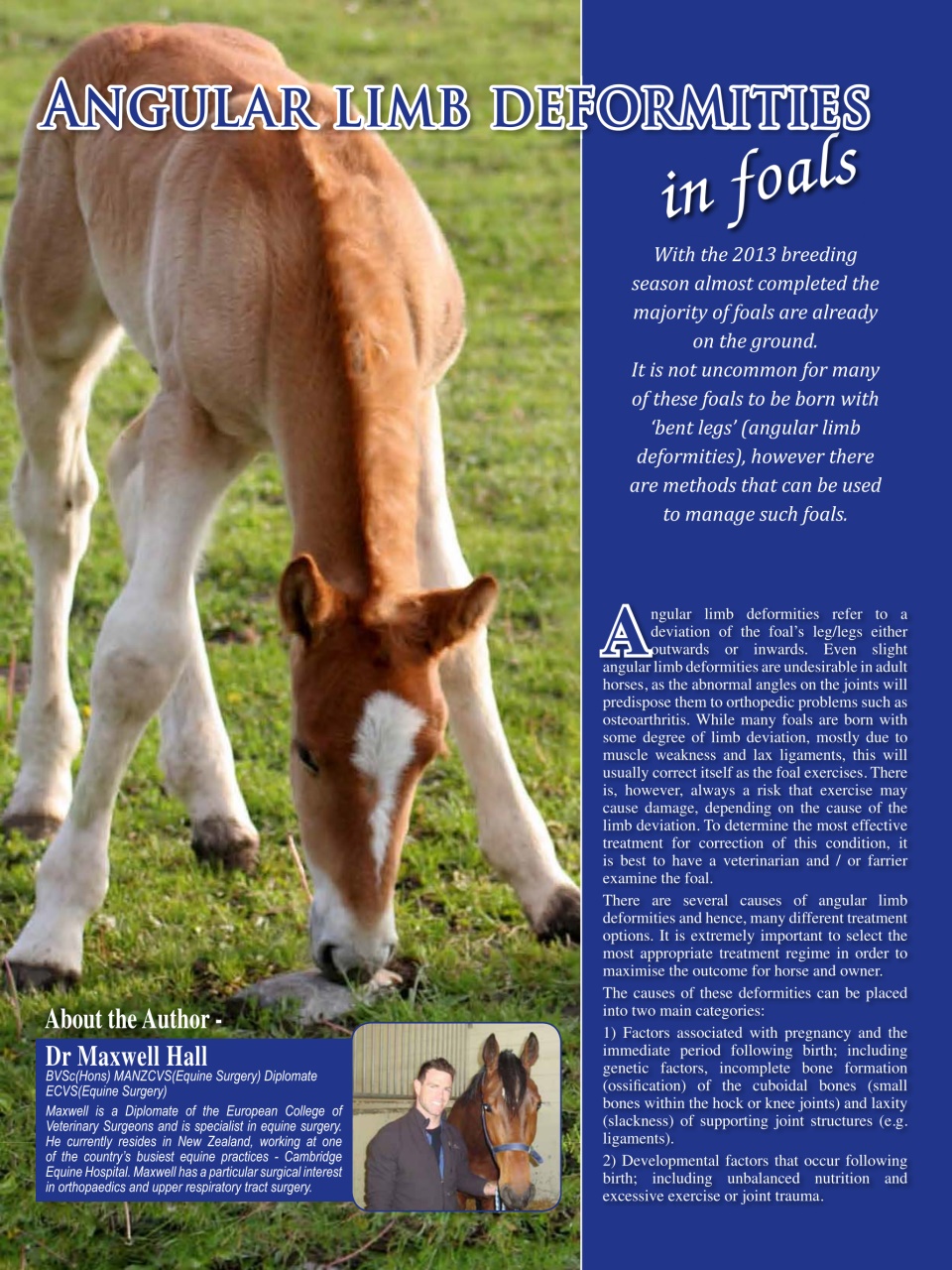 Hoofbeats Preview Pages